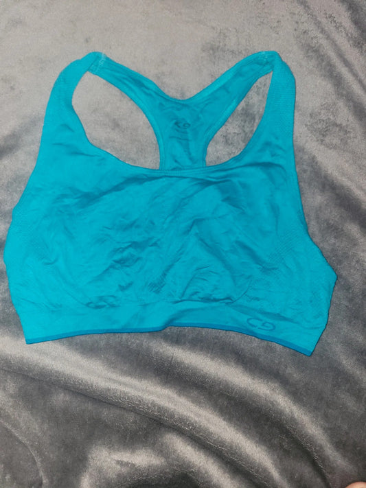 Champion Blue Racerback Sports Bra | Size L | Activewear