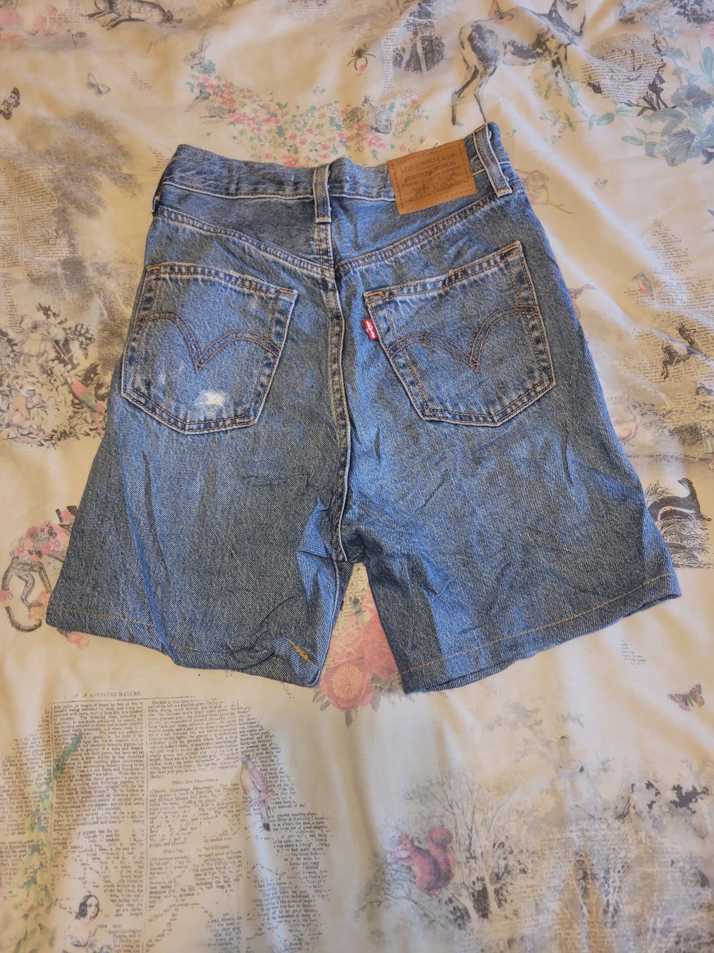 Levi’s Ribcage Straight Denim Shorts (W28)